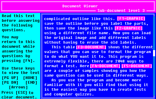 Document as displayed in a quiz.